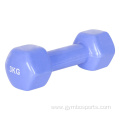 Iron Color PE Cooated Hex Dumbbell